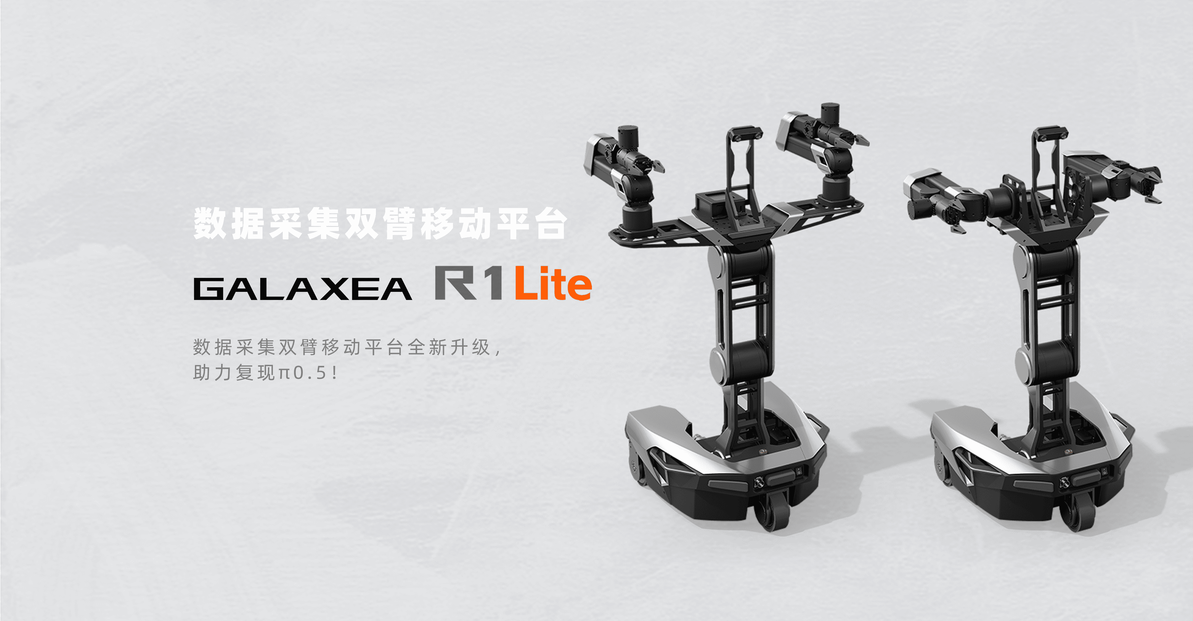R1lite 背景